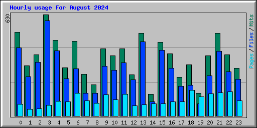 Hourly usage for August 2024