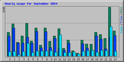 Hourly usage for September 2024