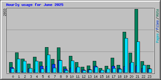 Hourly usage for June 2025