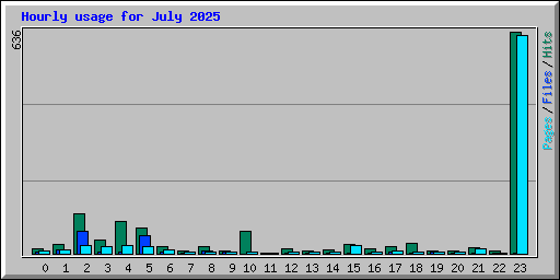 Hourly usage for July 2025