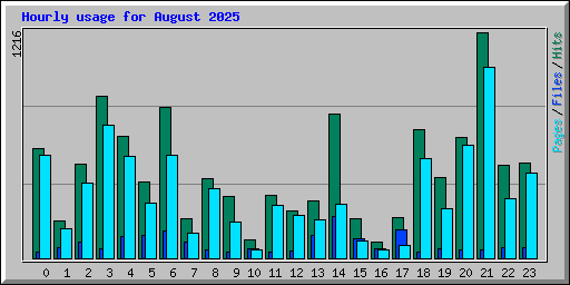Hourly usage for August 2025
