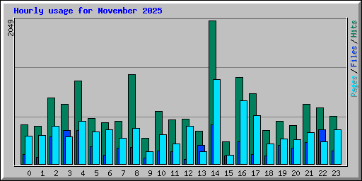 Hourly usage for November 2025