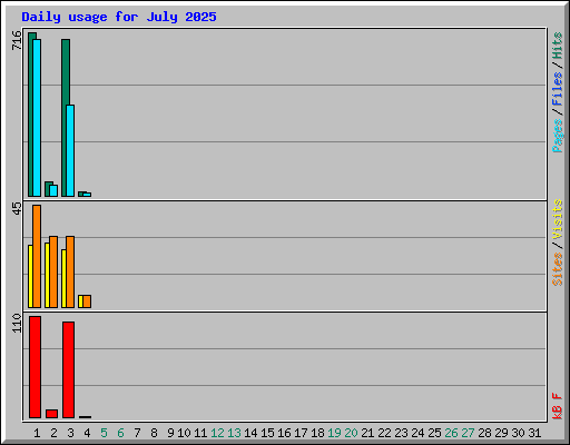Daily usage for July 2025