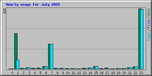 Hourly usage for July 2025