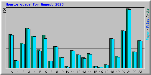 Hourly usage for August 2025